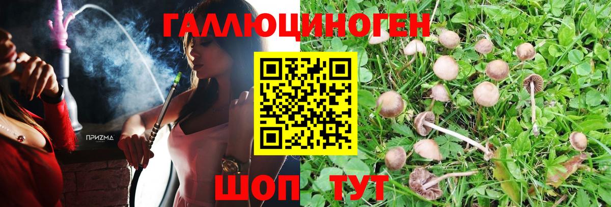 Псилоцибиновые грибы ЛСД  Псилоцибиновые грибы GOLDEN TEACHER  Вход с VPN  Бирск 